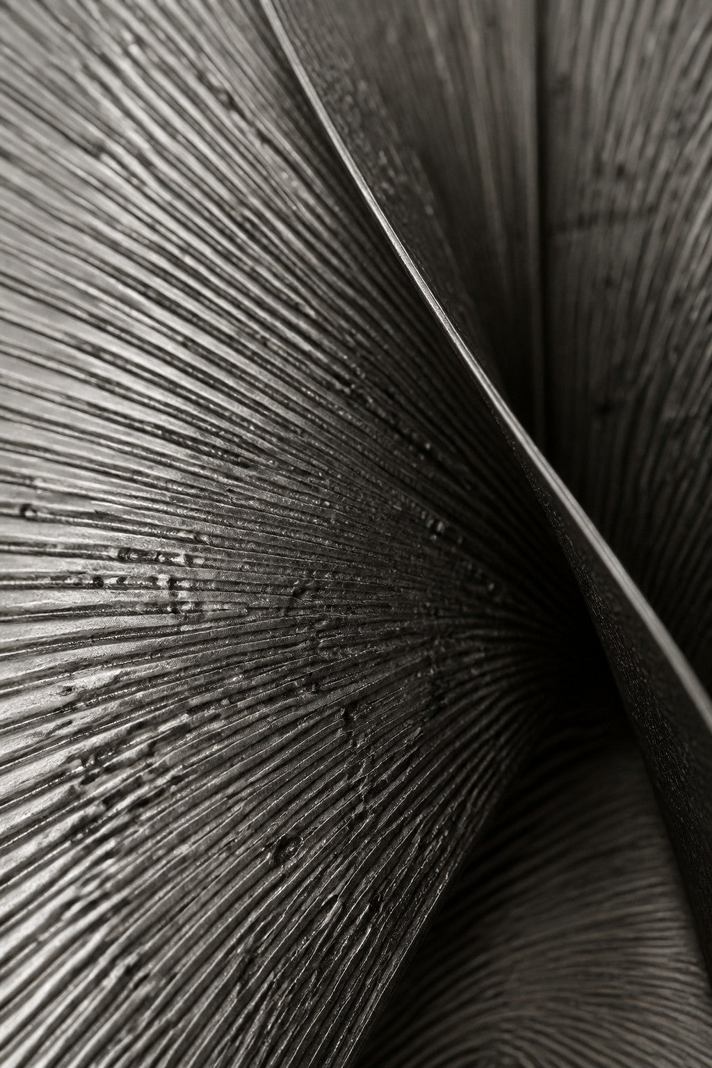 Satin steel steel wall sculpture Punta, a tapered leaf blade on a concealed bracket, on a plaster wall.