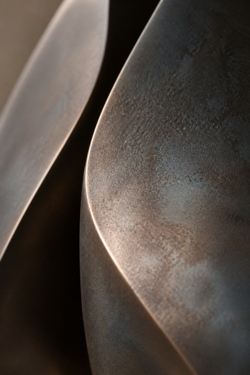 Apertura — 100 × 140 cm dark bronze wall sculpture of a folded leaf opening to a polished interior, close studio detail of the surface and material