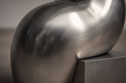 Austral — Stainless steel sculpture by 1-OPH