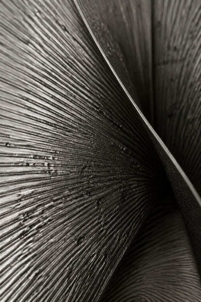 Satin steel steel wall sculpture Punta, a tapered leaf blade on a concealed bracket, on a plaster wall.